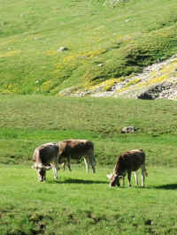 DSCF1938.jpg (61104 Byte)