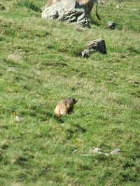 DSCF1941.jpg (63998 Byte)