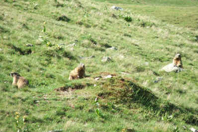 DSCF1943.jpg (123544 Byte)