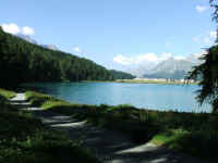 DSCF2033.jpg (56684 Byte)