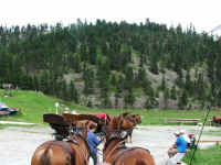 DSCF2052.jpg (93523 Byte)