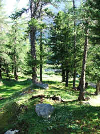 DSCF2059.jpg (89975 Byte)