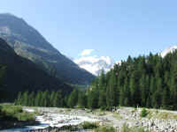 DSCF2060.jpg (64829 Byte)