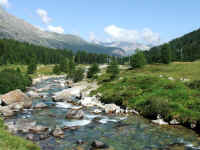 DSCF2071.jpg (87487 Byte)