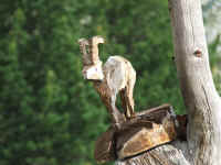 DSCF2114.jpg (66297 Byte)
