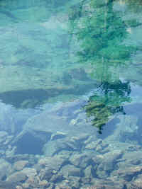 DSCF2123.jpg (42385 Byte)