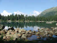 DSCF2127.jpg (75738 Byte)