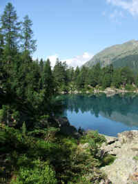 DSCF2133.jpg (54914 Byte)