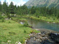 DSCF2140.jpg (110369 Byte)