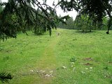 DSCN0575