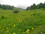 DSCN0578