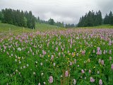 DSCN0579