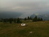 IMG_0559