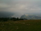 IMG_0560