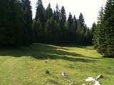IMG_0562