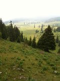 IMG_0563