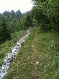IMG_0564