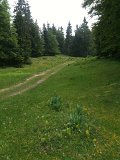 IMG_0566