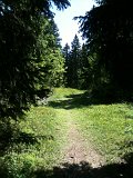 IMG_0570
