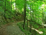 DSCF3990