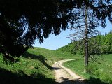 DSCF3993