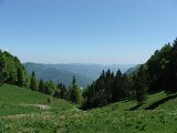 DSCF3994