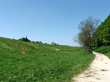 DSCF3997