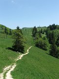 DSCF4009