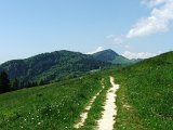 DSCF4020
