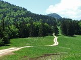 DSCF4026