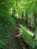 DSCF4034