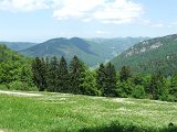 DSCF4036