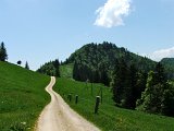 DSCF4040