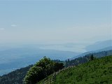 DSCF4061