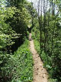 DSCF4065