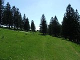 DSCF4083