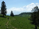 DSCF4088