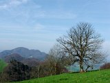 DSCF3828