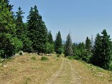 DSCF4251