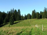 DSCF4621