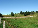 DSCF4622