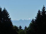 DSCF4631