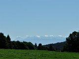 DSCF4641