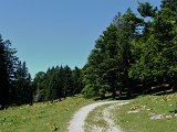 DSCF4644
