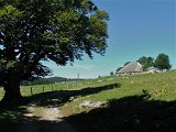DSCF4645