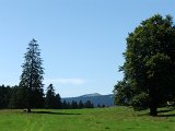 DSCF4649