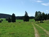 DSCF4651