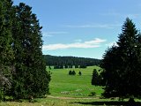 DSCF4652