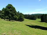 DSCF4653