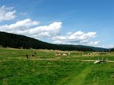 DSCF4659